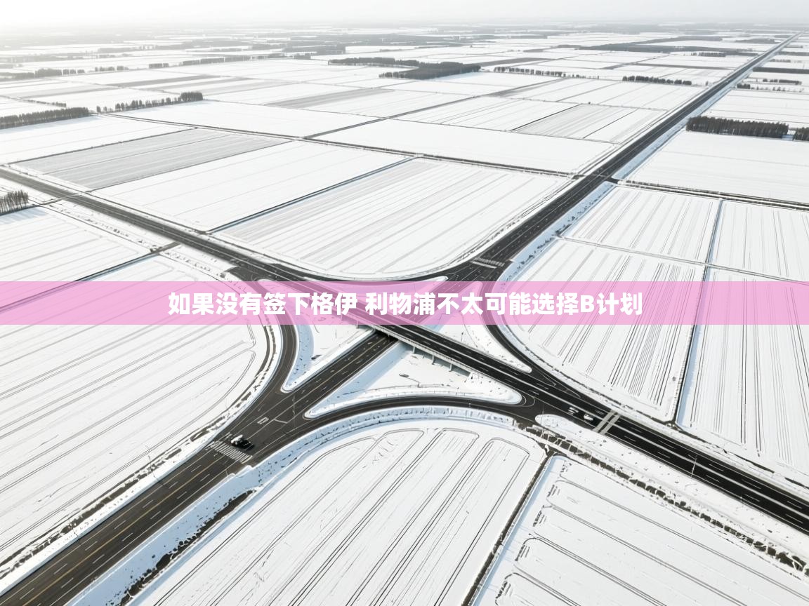 蓝鲸体育官网-如果没有签下格伊 利物浦不太可能选择B计划  第1张