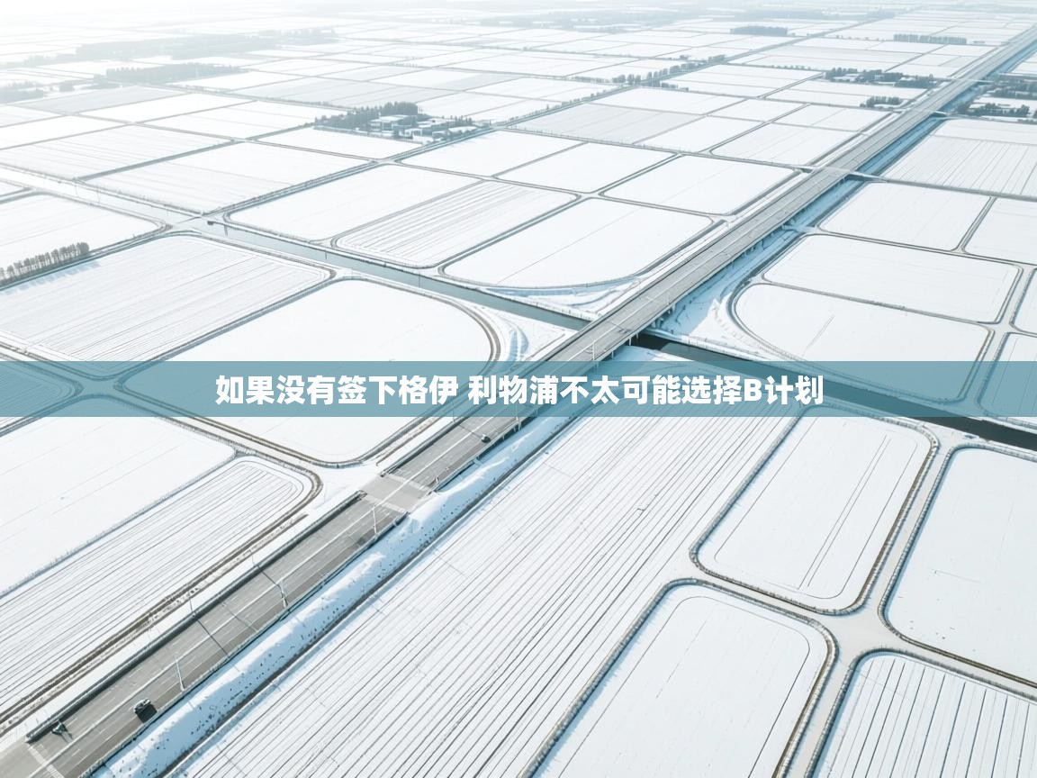 蓝鲸体育官网-如果没有签下格伊 利物浦不太可能选择B计划  第4张