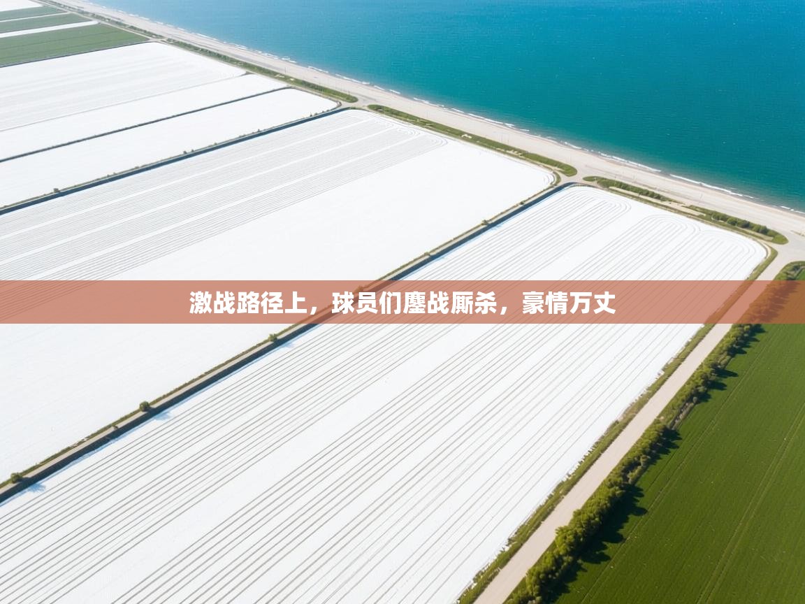 鲸鱼体育-激战路径上，球员们鏖战厮杀，豪情万丈  第1张