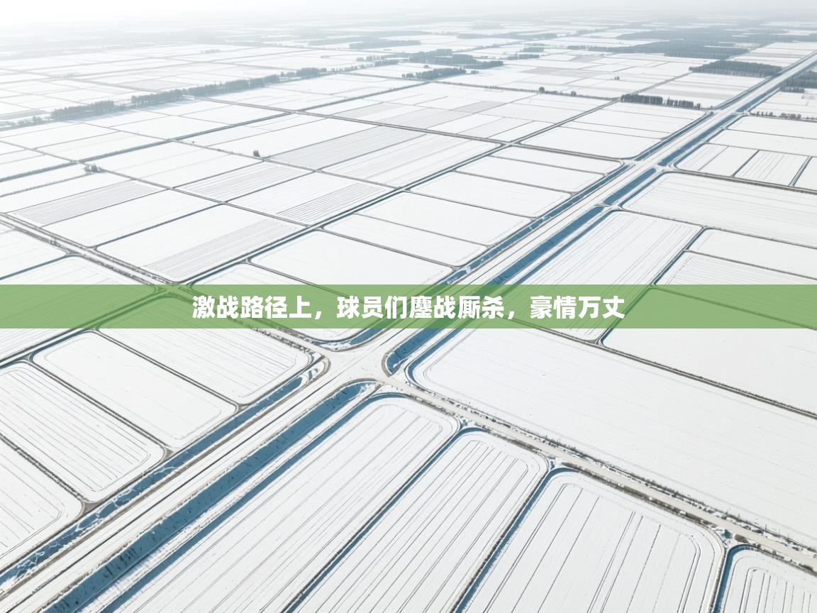 鲸鱼体育-激战路径上，球员们鏖战厮杀，豪情万丈  第3张