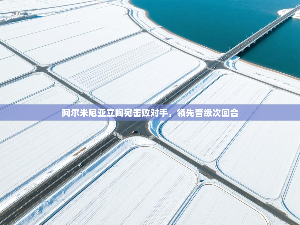 鲸鱼体育app-阿尔米尼亚立陶宛击败对手，领先晋级次回合  第2张