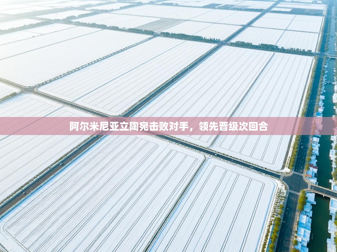 鲸鱼体育app-阿尔米尼亚立陶宛击败对手，领先晋级次回合  第3张