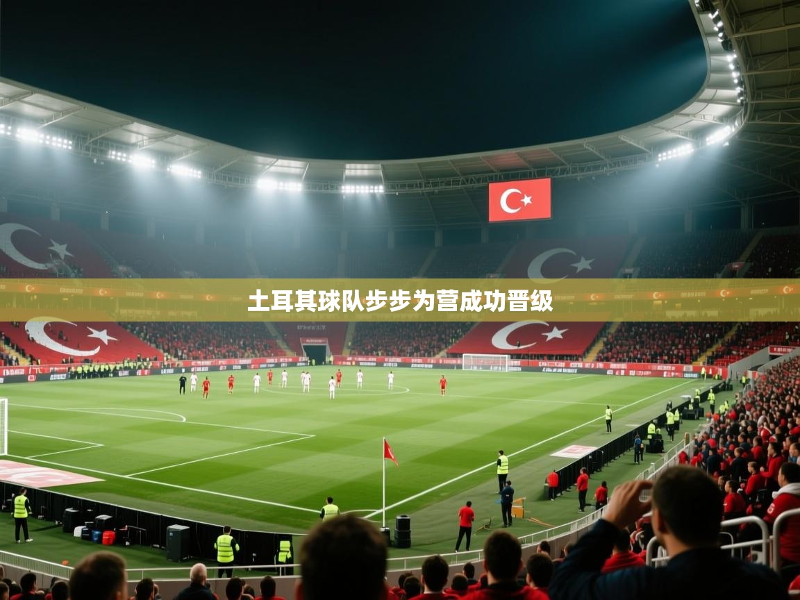 蓝鲸体育在线直播观看-土耳其球队步步为营成功晋级 第1张
