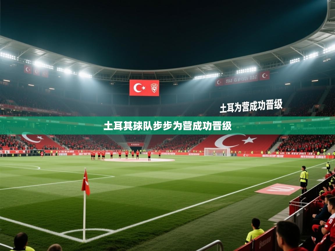 蓝鲸体育在线直播观看-土耳其球队步步为营成功晋级 第2张
