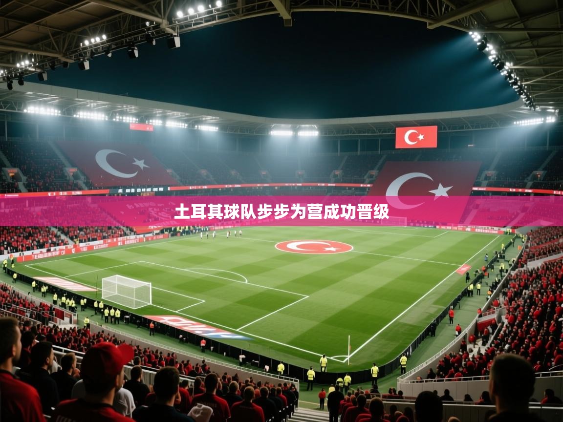 蓝鲸体育在线直播观看-土耳其球队步步为营成功晋级 第3张