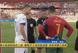 波黑主场三球领跑，卢克威尔森难忘日子的简单介绍
